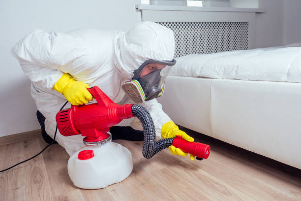 Best Termite Control Services  in Utica, IN