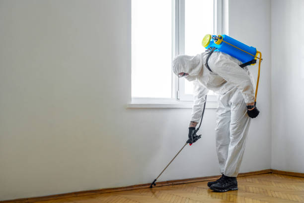 Best Flea Control Services  in Utica, IN