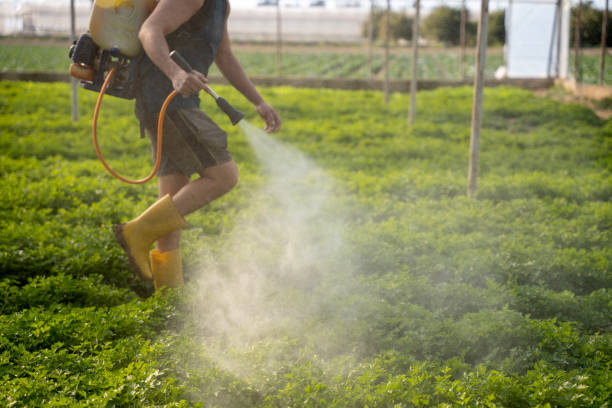 Best Exterminator Services  in Utica, IN