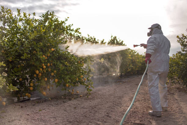 Best Pest Control Near Me in Utica, IN