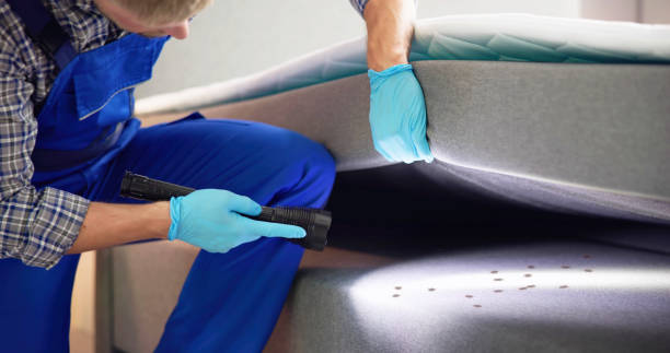 Best Wasp Removal Services  in Utica, IN
