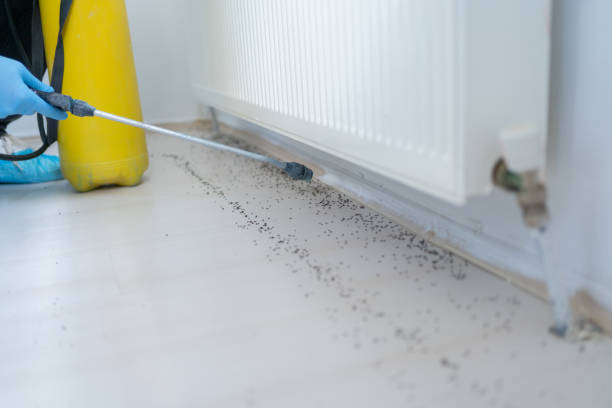 Best Ant Control Services  in Utica, IN