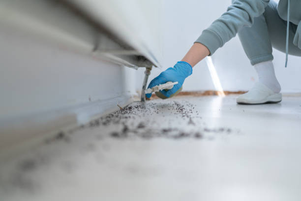 Professional Pest Control in Utica, IN