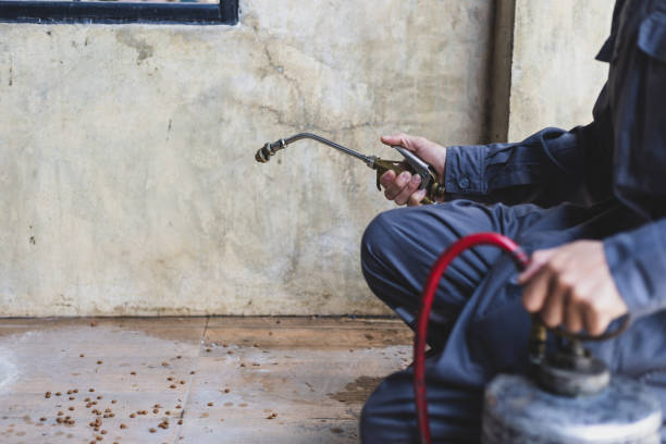 Best Affordable Pest Control Services  in Utica, IN